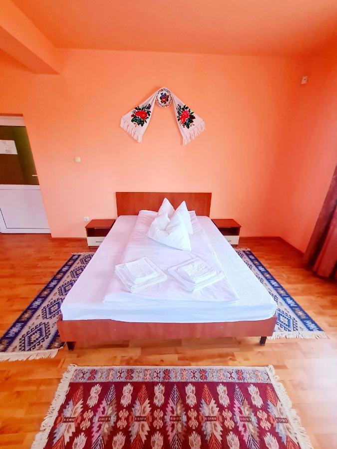 Pensiunea Sanziana Hotel Орадеа Екстериор снимка